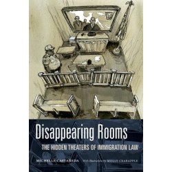 Disappearing Rooms: The Hidden Theaters of Immigration Law