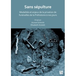 Sans sepulture: Modalites et enjeux de la privation de funerailles de la Prehistoire a nos jours: Modalites Et Enjeux de la Privation de Funerailles de la Prehistoire a Nos Jours