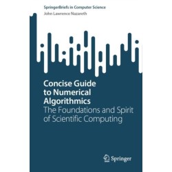 Concise Guide to Numerical Algorithmics: The Foundations and Spirit of Scientific Computing