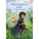 Magikerens elev – Mesterens forbandelse