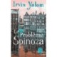 Le probleme Spinoza (Prix des Lecteurs 2014)