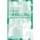 Ud af skyggerne: Kvindernes litteraturkanon