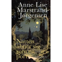Natten åbner sig som en port: Roman over Det Nye Testamente