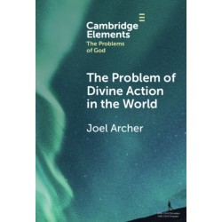 The Problem of Divine Action in the World