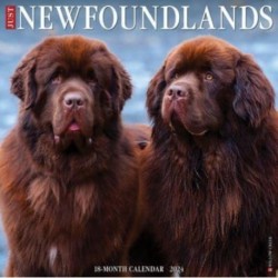 Just Newfoundlands 2024 12 X 12 Wall Calendar