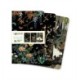 Ashmolean Museum Set of 3 Mini Notebooks
