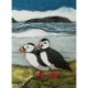 Wild Birds Pocket Notebook: Puffin