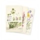 Royal Botanic Garden Edinburgh Set of 3 Mini Notebooks