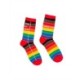 Library Card Pride Socks - Small