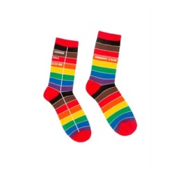 Library Card Pride Socks - Small