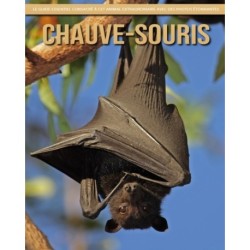 Chauve-Souris: Le Guide Essentiel Consacre a Cet Animal Extraordinaire avec des Photos Etonnantes