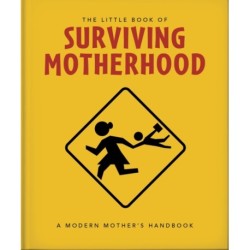 The Little Book of Surviving Motherhood: For Tired Parents Everywhere