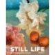 Still Life Notecards: 20 Notecards and Envelopes