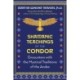 Shamanic Teachings of the Condor: Encounters with the Mystical Traditions of the Andes