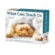 What Cats Teach Us 2024 6.2 X 5.4 Box Calendar