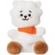 BT21 RJ Palm Pal 5In