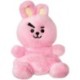 BT21 COOKY Palm Pal 5In