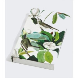 Warbling Flycatcher, James Audubon 8-Pen Set