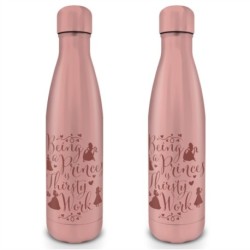 DISNEY PRINCESS (THIRSTY WORK) METAL DRINKS BOTTLE
