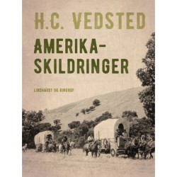 Amerika-skildringer
