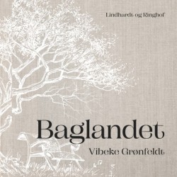 Baglandet