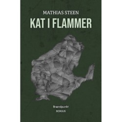 Kat i flammer: Tåsingehistorier