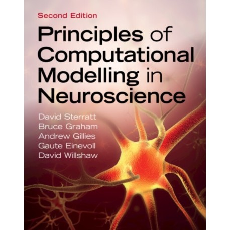 Principles of Computational Modelling in Neuroscience