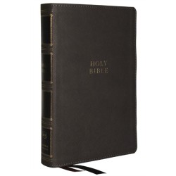 KJV Holy Bible: Compact Bible with 43,000 Center-Column Cross References, Gray Leathersoft, Red Letter, Comfort Print (Thumb Indexing): King James Version