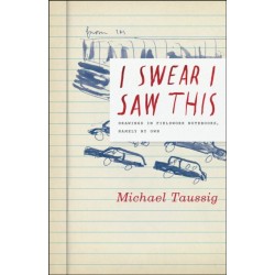 I Swear I Saw This: Drawings in Fieldwork Notebooks, Namely My Own