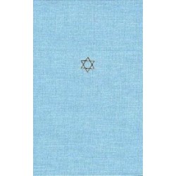 Talmud of the Land of Israel: A Preliminary Translation and Explanation