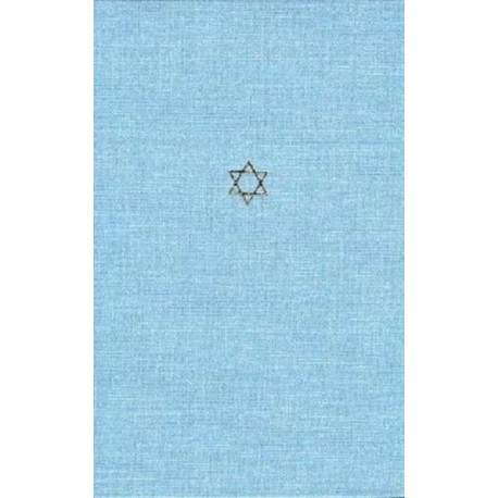 Talmud of the Land of Israel: A Preliminary Translation and Explanation