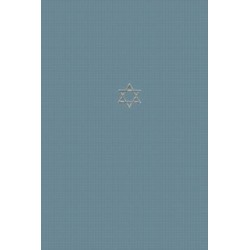 The Talmud of the Land of Israel: A Preliminary Translation and Explanation