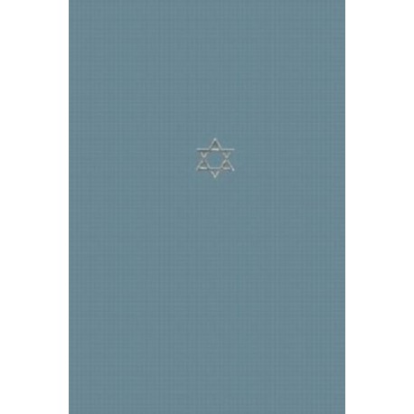The Talmud of the Land of Israel: A Preliminary Translation and Explanation