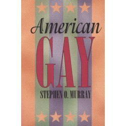 American Gay