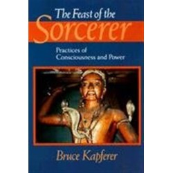 The Feast of the Sorcerer: Practices of Consciousness and Power