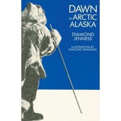 Dawn in Arctic Alaska