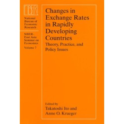 Changes in Exchange Rates in Rapidly Developing Countries: Theory, Practice, and Policy Issues