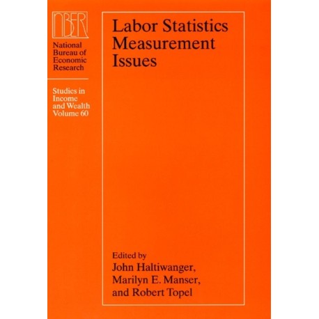 Labor Statistics Measurement Issues