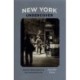 New York Undercover: Private Surveillance in the Progressive Era
