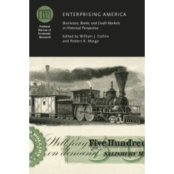 Enterprising America: Businesses, Banks, and Credit Markets in Historical Perspective