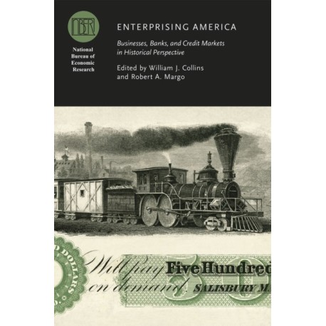 Enterprising America: Businesses, Banks, and Credit Markets in Historical Perspective