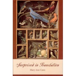 Surprised in Translation