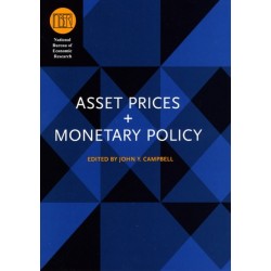 Asset Prices and Monetary Policy