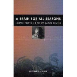 A Brain for All Seasons: Human Evolution and Abrupt Climate Change