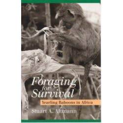 Foraging for Survival: Yearling Baboons in Africa