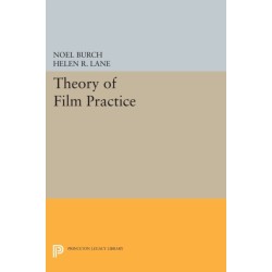 Theory of Film Practice