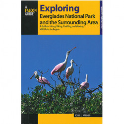 Exploring Everglades National Park and the Surrounding Area: A Guide to Hiking, Biking, Paddling, and Viewing Wildlife
