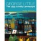 George Little: The Ugly Lovely Landscape