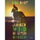 Junger Wind in alten Gassen