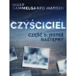 Czyściciel 5: Jesteś następny